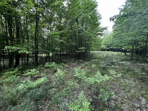 00 Railroad Grade, Update, MI 48656 photo 57