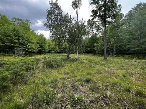 00 Railroad Grade, Update, MI 48656 photo 53