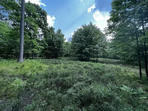00 Railroad Grade, Update, MI 48656 photo 58