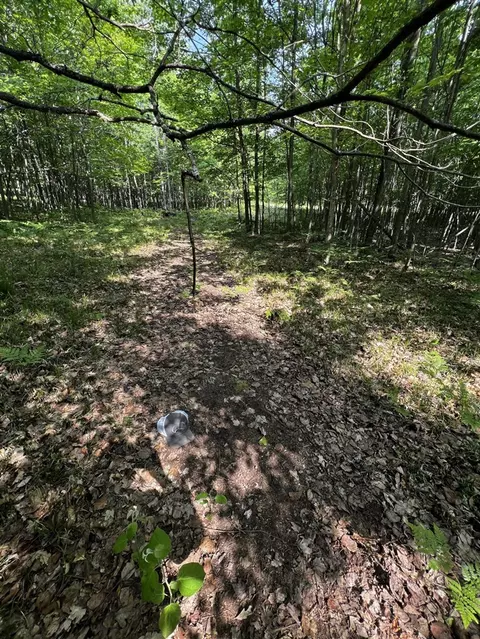 00 Railroad Grade, Update, MI 48656 photo 60