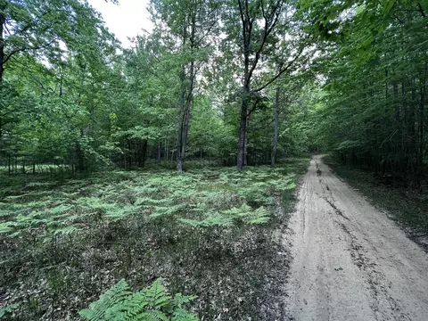 00 Railroad Grade, Update, MI 48656 photo 65