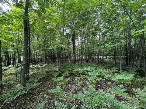 00 Railroad Grade, Update, MI 48656 photo 55