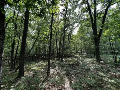 00 Railroad Grade, Update, MI 48656 photo 44