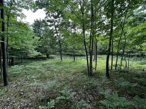 00 Railroad Grade, Update, MI 48656 photo 56