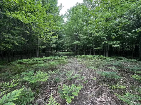 00 Railroad Grade, Update, MI 48656 photo 45