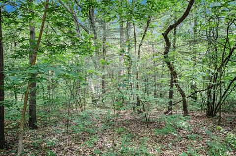 lot B Babylon, Allegan, MI 49010