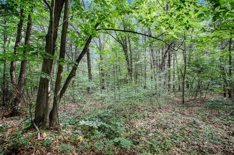 lot A Babylon, Allegan, MI 49010
