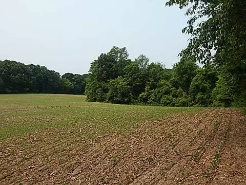 17380 28 Mile, Albion, MI 49224