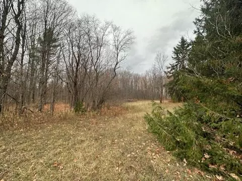 8184 Red Pne, Mancelona, MI 49659