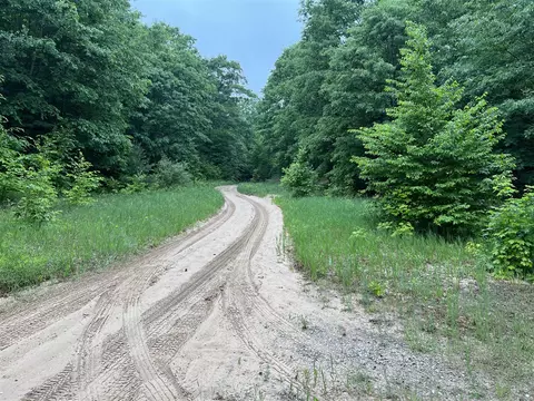 V/l Riley Ridge Rd, Thompsonville, MI 49683