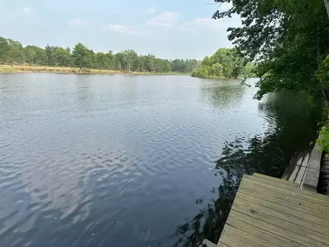 12510 183rd Ave, Big Rapids, MI 49307 photo 19