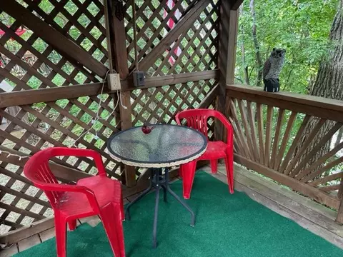 12510 183rd Ave, Big Rapids, MI 49307 photo 31