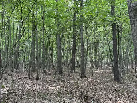 V/l Cayla Lane Lot #31, Whitehall, MI 49461