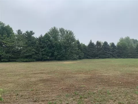 2 Acres 34th, Gobles, MI 49055