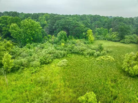 Vl Hinckley, Jackson, MI 49203 photo 16