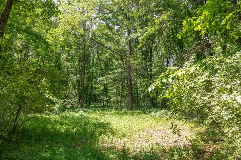 00 Vl W Island Rd, Fowler, MI 48835 photo 19