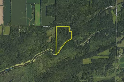 00 Vl W Island Rd, Fowler, MI 48835 photo 9