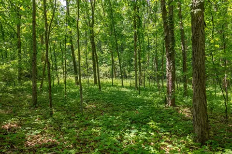 00 Vl W Island Rd, Fowler, MI 48835 photo 21