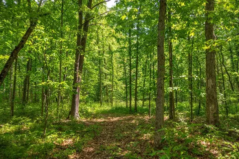 00 Vl W Island Rd, Fowler, MI 48835 photo 20
