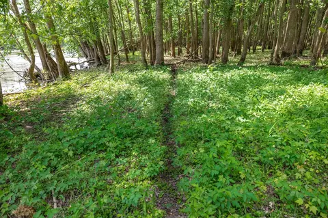 00 Vl W Island Rd, Fowler, MI 48835 photo 14