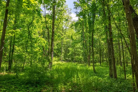 00 Vl W Island Rd, Fowler, MI 48835 photo 18