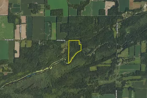 00 Vl W Island Rd, Fowler, MI 48835 photo 11