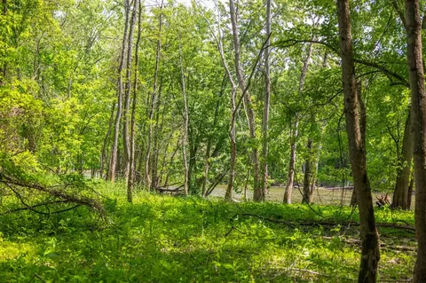 00 Vl W Island Rd, Fowler, MI 48835 photo 27
