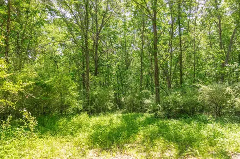 00 Vl W Island Rd, Fowler, MI 48835 photo 23