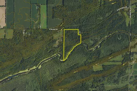 00 Vl W Island Rd, Fowler, MI 48835 photo 10