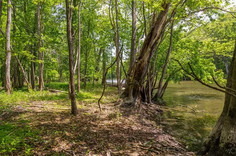 00 Vl W Island Rd, Fowler, MI 48835 photo 15