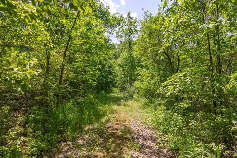 00 Vl W Island Rd, Fowler, MI 48835 photo 7