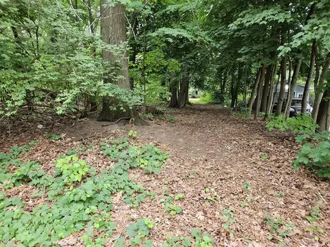 94 Dunton, Holland, MI 49424