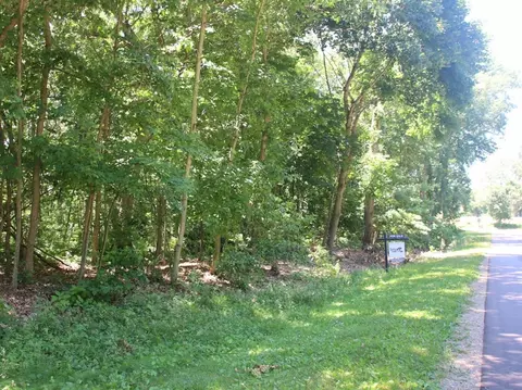 4 Acres Limberlost Rd, Three Rivers, MI 49093 photo 3