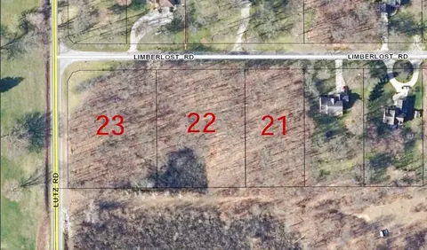 4 Acres Limberlost Rd, Three Rivers, MI 49093 photo 8