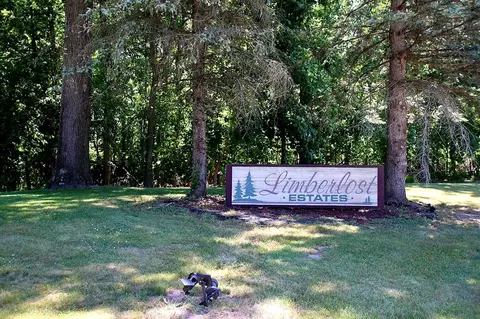4 Acres Limberlost Rd, Three Rivers, MI 49093