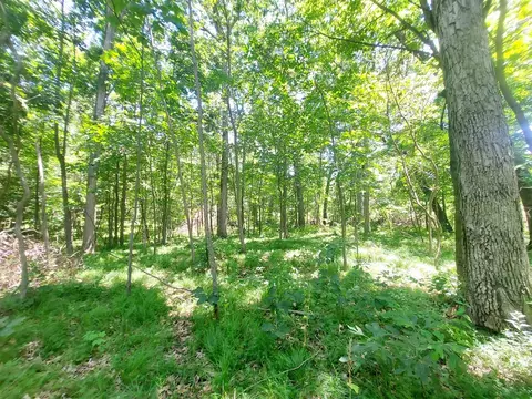 4 Acres Limberlost Rd, Three Rivers, MI 49093 photo 6