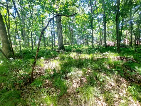 4 Acres Limberlost Rd, Three Rivers, MI 49093 photo 7
