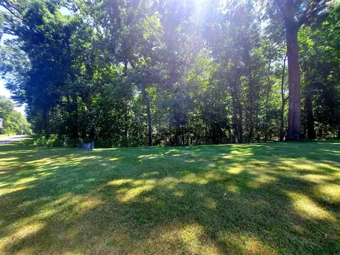 4 Acres Limberlost Rd, Three Rivers, MI 49093 photo 4