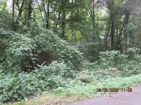 222 Susan Dr, Battle Creek, MI 49037