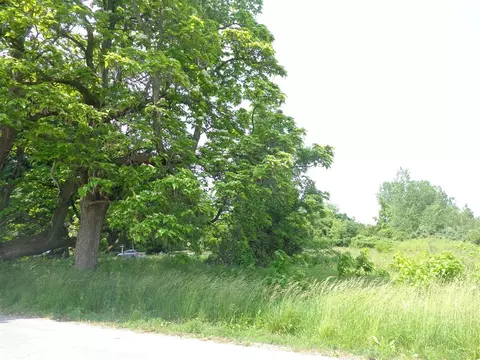 Parcel D Highland, Benton Harbor, MI 49022