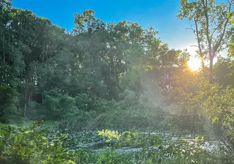 Coon Hollow, Three Rivers, MI 49093