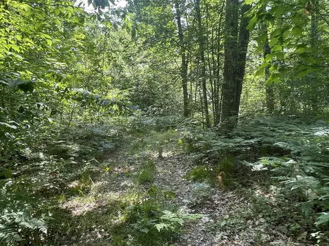 V/l Dilling Rd, Brethren, MI 49619 photo 30