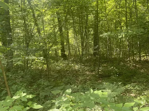V/l Dilling Rd, Brethren, MI 49619 photo 36