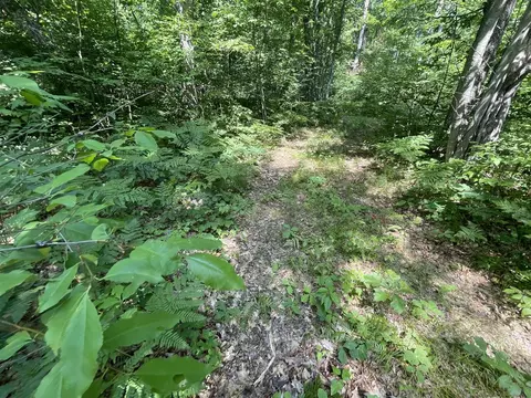V/l Dilling Rd, Brethren, MI 49619 photo 17