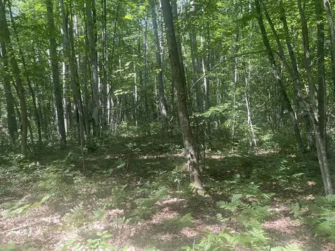 V/l Dilling Rd, Brethren, MI 49619 photo 24