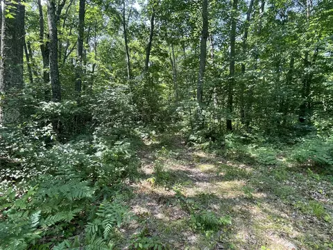 V/l Dilling Rd, Brethren, MI 49619 photo 6
