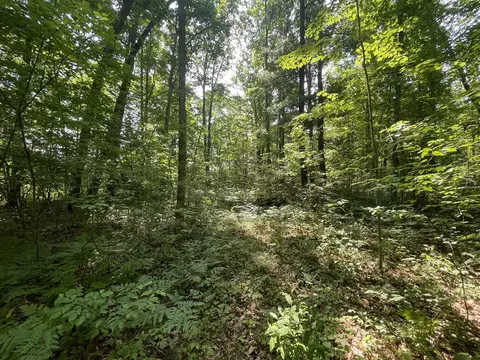 V/l Dilling Rd, Brethren, MI 49619 photo 11