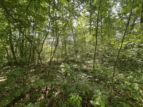 V/l Dilling Rd, Brethren, MI 49619 photo 9