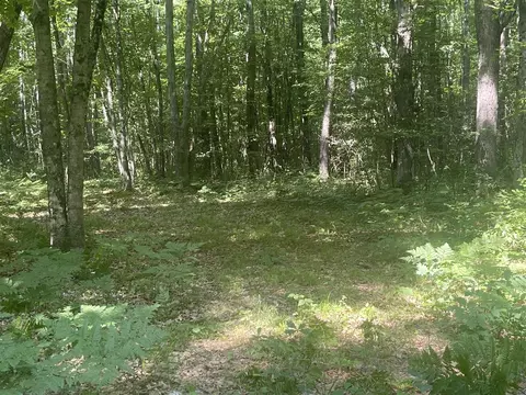 V/l Dilling Rd, Brethren, MI 49619 photo 22