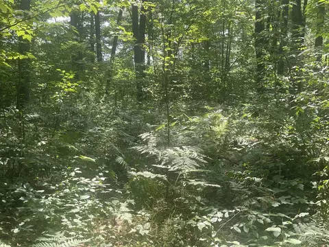 V/l Dilling Rd, Brethren, MI 49619 photo 35